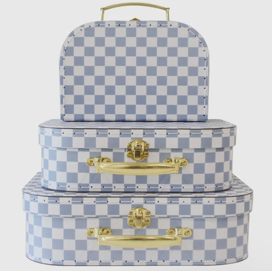 Blue check kids carry case set